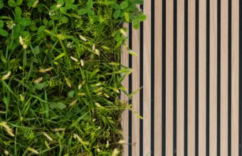 A wooden board adorned with lush grass and plants, showcasing eco-friendly wooden panels for walls in a natural setting.