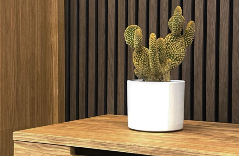 A plant in a vase on a table beside a television, showcasing eco-friendly wooden panels for walls by wallterra in the background.